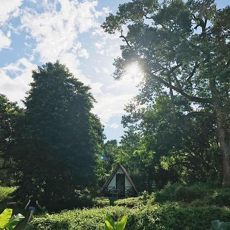 The Forest Cabin Bed and Breakfast Taiping Exterior foto