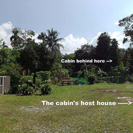 The Forest Cabin Bed and Breakfast Taiping Exterior foto