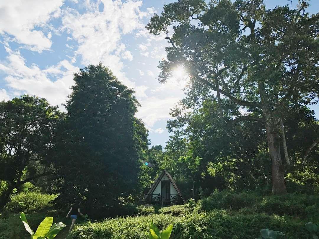 The Forest Cabin Bed and Breakfast Taiping Exterior foto